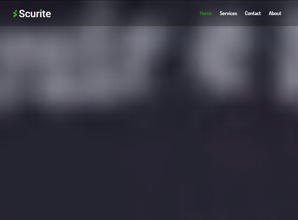 Scurite | Software Company